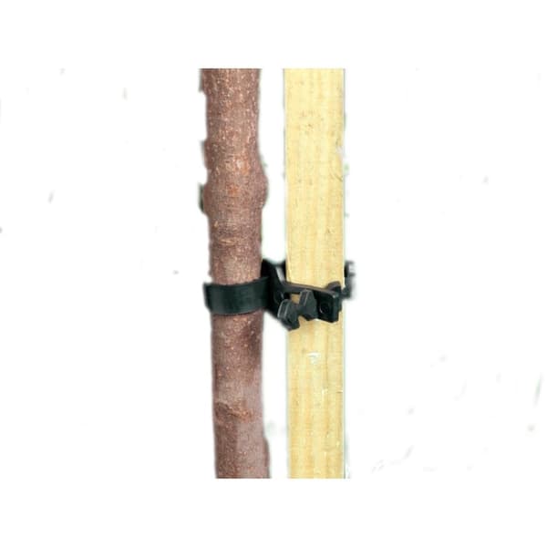 Ambassador Soft Shrub Ties (Pack Of 2)