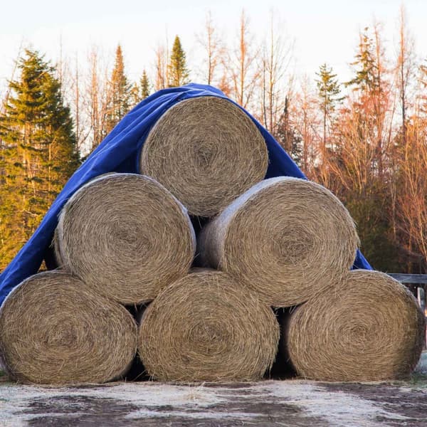 ECD Germany presenningsstof presenning med øjenlåg 6x8m 48m ² 180g / m² blå lavet af polyethylen skimmelbestandig vandtæt, tårebeskyttet presenning