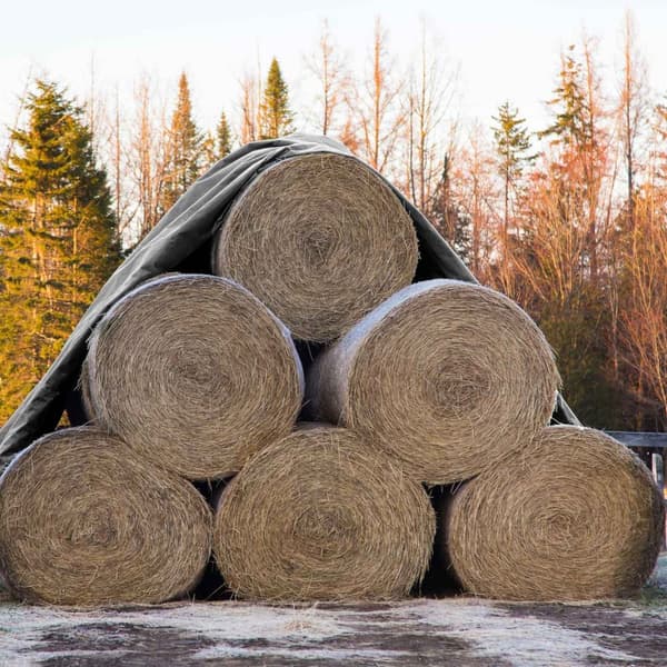 ECD Germany -peittokangaspeite silmukoilla 6x10m 60m² 260g / m² harmaa polyeteenimuottia kestävästä vedenpitävästä, repäisysuojatusta
