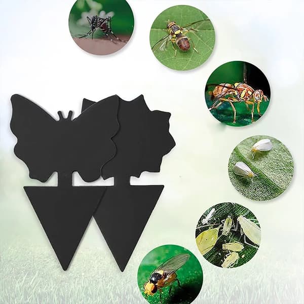 Smidiga Flugfällor / Insektsfällor (6-Pack)