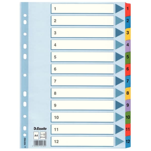 ESSELTE Register Mylar A4/1-12 Multifärgat