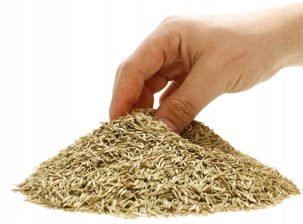 ARPON UNIVERSAL GRÄS 1 KG