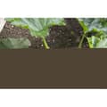 Miniatyrbild 3 av 5: GARDENA Combisystem® teleskophandtag 90-145cm | Verktygsstöd | Halkskyddande aluminium | Garanterat i 25 år