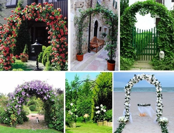 Hagepergola Bue – Pergola