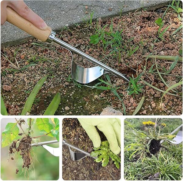 Plæne ukrudtsdræber, bindweed dræber, rustfrit stål manuel ukrudtsmaskine manual