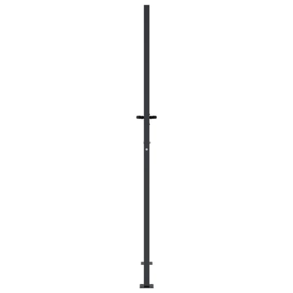 Puutarhaportti antrasiitti 105x205 cm teräs bambukuvio