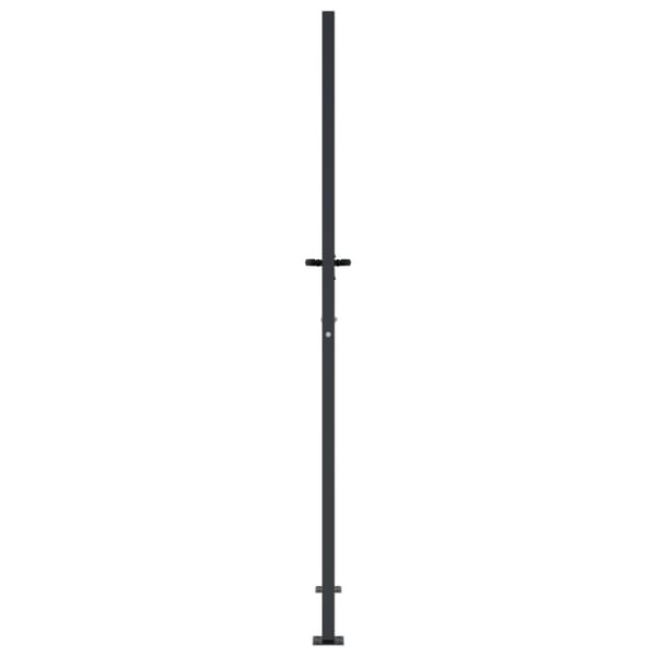 Puutarhaportti antrasiitti 105x205 cm teräs raitakuvio
