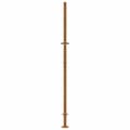 Miniatyrbilde 7 av 11: vidaXL Hageport 105x180 cm oksidert stål flammedesign