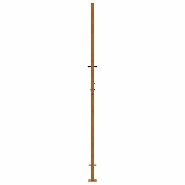 vidaXL Hageport 105x205 cm oksidert stål spordesign