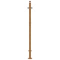 Miniatyrbilde 7 av 11: vidaXL Hageport 105x130 cm oksidert stål spordesign