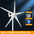 Miniatyrbild 2 av 9: 3000W 12V 5-blads hushållstyp vindkraftverk med hybridkontroller, effektiv vindturbingenerator, låg starthastighet, enkel installation