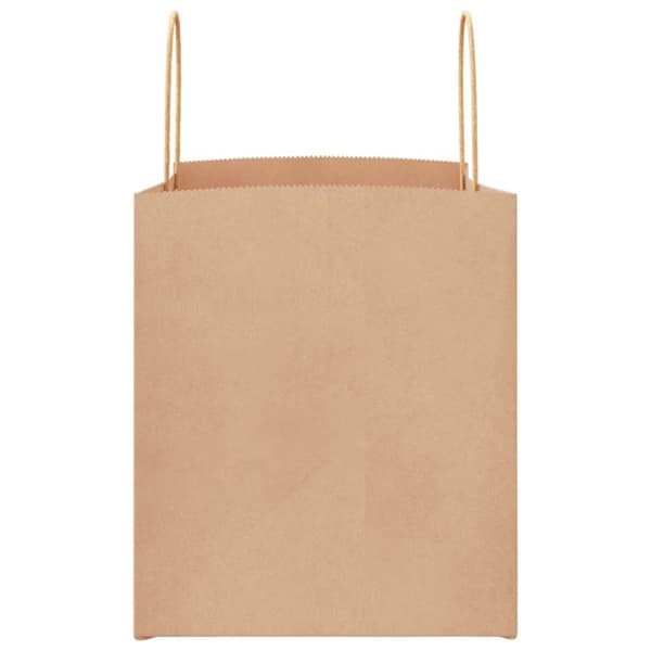 vidaXL Kraftpapperspåsar 50 st med handtag brun 32x22x24 cm