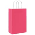 Miniatyrbild 7 av 11: vidaXL Papperspåsar 50 st med handtag rosa 21x11x31 cm