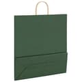 Miniatyrbild 9 av 11: vidaXL Kraftpapperspåsar 250 st med handtag grön 45x17x48 cm