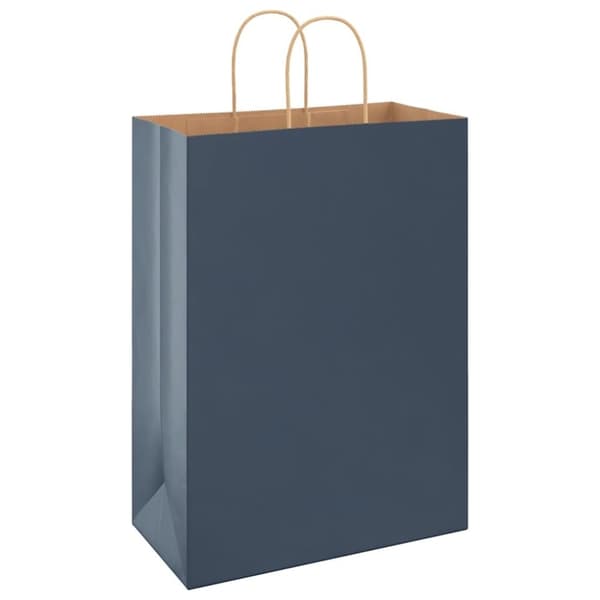 vidaXL Kraftpapperspåsar 50 st med handtag blå 32x17x44 cm