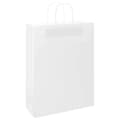Miniatyrbild 3 av 11: vidaXL Kraftpapperspåsar 50 st med handtag vit 32x12x42 cm