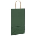 Miniatyrbild 9 av 11: vidaXL Kraftpapperspåsar 250 st med handtag grön 21x11x36 cm