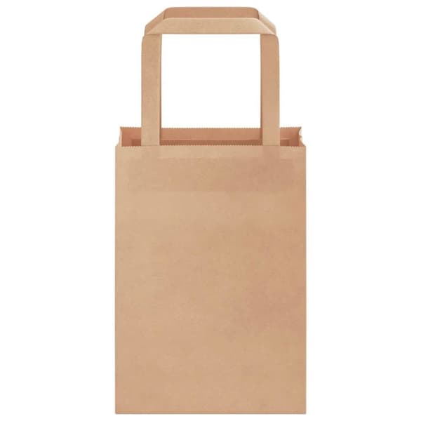 vidaXL Kraftpapperspåsar 50 st med handtag brun 15x8x21 cm