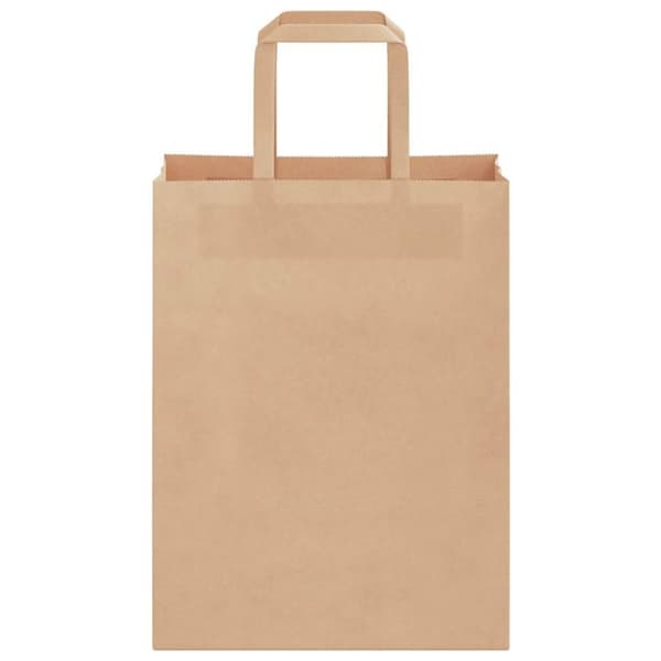 vidaXL Kraftpapperspåsar 50 st med handtag brun 21x11x28 cm
