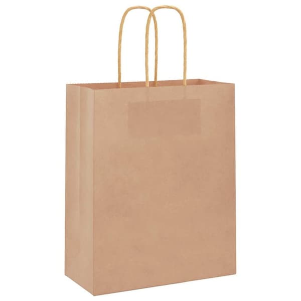 vidaXL Kraftpapperspåsar 250 st med handtag brun 18x8x22 cm