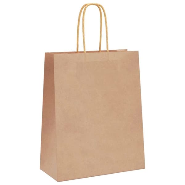 vidaXL Kraftpapperspåsar 250 st med handtag brun 18x8x22 cm