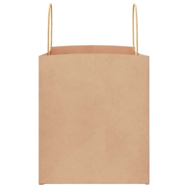 vidaXL kraftpapirposer 250 stk. med håndtag 32x22x24 cm brun