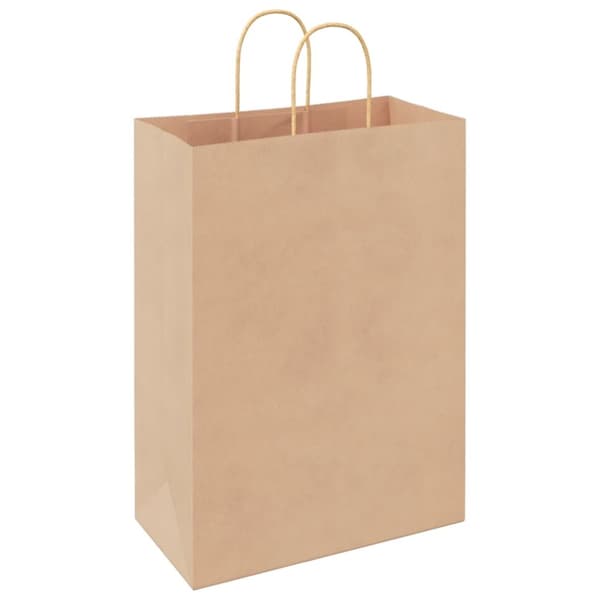 vidaXL kraftpapirposer 250 stk. med håndtag 32x17x44 cm brun