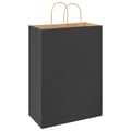 Pikkukuva 7 / 11: vidaXL Paperikassit 250 kpl kahvoilla musta 32x17x44 cm
