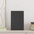 Pikkukuva 2 / 11: vidaXL Paperikassit 250 kpl kahvoilla musta 21x11x31 cm