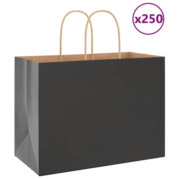 vidaXL Paperikassit 250 kpl kahvoilla musta 32x17x25 cm