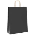 Pikkukuva 3 / 11: vidaXL Paperikassit 250 kpl kahvoilla musta 32x12x42 cm
