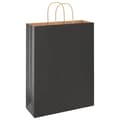 Pikkukuva 4 / 11: vidaXL Paperikassit 250 kpl kahvoilla musta 32x12x42 cm