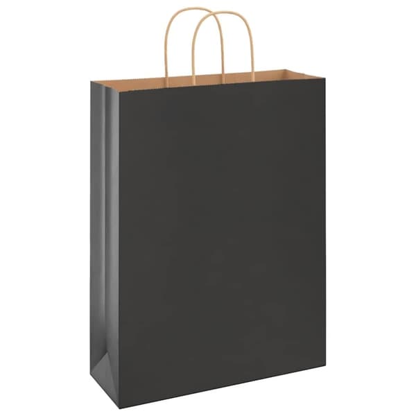 vidaXL Paperikassit 250 kpl kahvoilla musta 32x12x42 cm