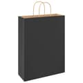 Pikkukuva 7 / 11: vidaXL Paperikassit 250 kpl kahvoilla musta 32x12x42 cm