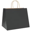 Pikkukuva 3 / 11: vidaXL Paperikassit 250 kpl kahvoilla musta 32x22x24 cm