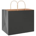 Pikkukuva 4 / 11: vidaXL Paperikassit 250 kpl kahvoilla musta 32x22x24 cm