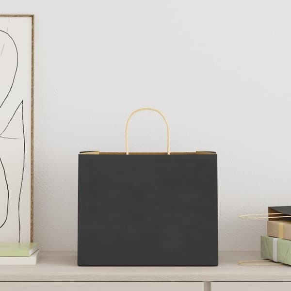 vidaXL Paperikassit 250 kpl kahvoilla musta 32x22x24 cm