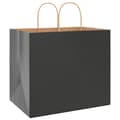 Pikkukuva 4 / 11: vidaXL Paperikassit 250 kpl kahvoilla musta 32x22x28 cm