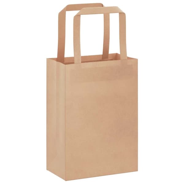 vidaXL Kraftpapperspåsar 250 st med handtag brun 15x8x21 cm