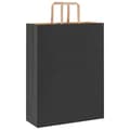 Pikkukuva 7 / 11: vidaXL Paperikassit 250 kpl kahvoilla musta 32x12x42 cm