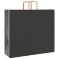 Pikkukuva 3 / 11: vidaXL Paperikassit 250 kpl kahvoilla musta 54x15x49 cm