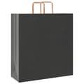 Pikkukuva 3 / 11: vidaXL Paperikassit 50 kpl kahvoilla musta 45x17x48 cm