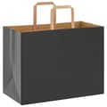 Pikkukuva 3 / 11: vidaXL Paperikassit 250 kpl kahvoilla musta 32x17x25 cm