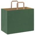 Pikkukuva 7 / 11: vidaXL Paperikassit 250 kpl kahvoilla vihreä 32x17x25 cm