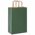 Pikkukuva 3 / 11: vidaXL Paperikassit 250 kpl kahvoilla vihreä 21x11x31 cm