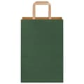 Pikkukuva 5 / 11: vidaXL Paperikassit 250 kpl kahvoilla vihreä 21x11x31 cm