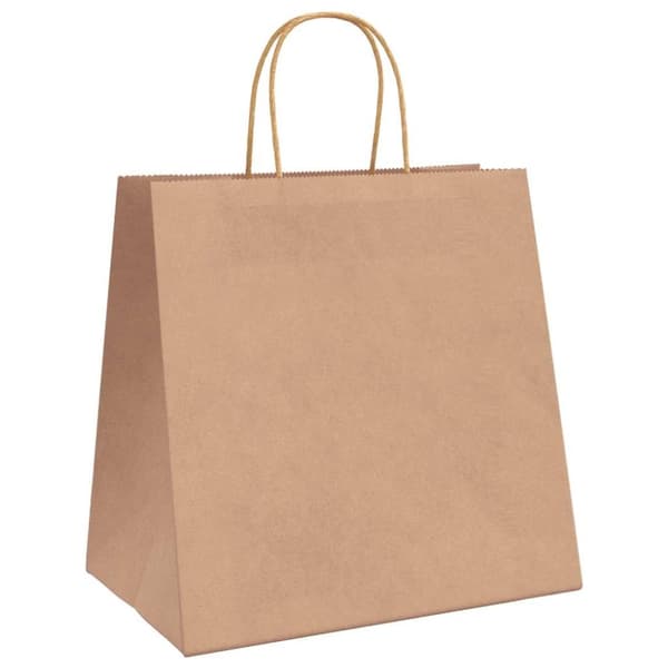vidaXL Kraftpapperspåsar 50 st med handtag brun 26x17x25 cm