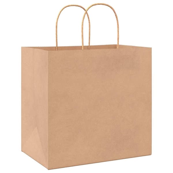 vidaXL Kraftpapperspåsar 50 st med handtag brun 26x17x25 cm