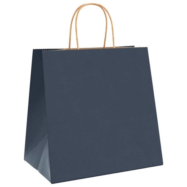 vidaXL Kraftpapperspåsar 50 st med handtag blå 26x17x25 cm