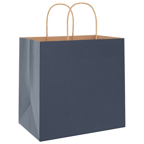 vidaXL Kraftpapperspåsar 50 st med handtag blå 26x17x25 cm